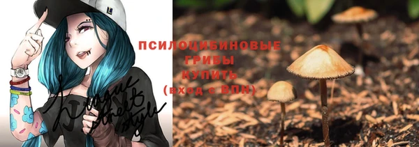 крисы Алексеевка