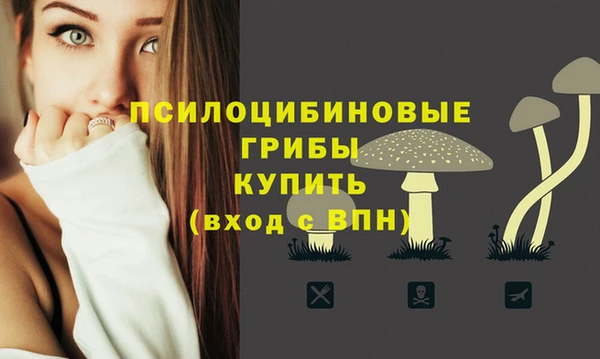 крисы Алексеевка