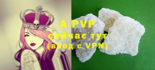 apvp Алексин