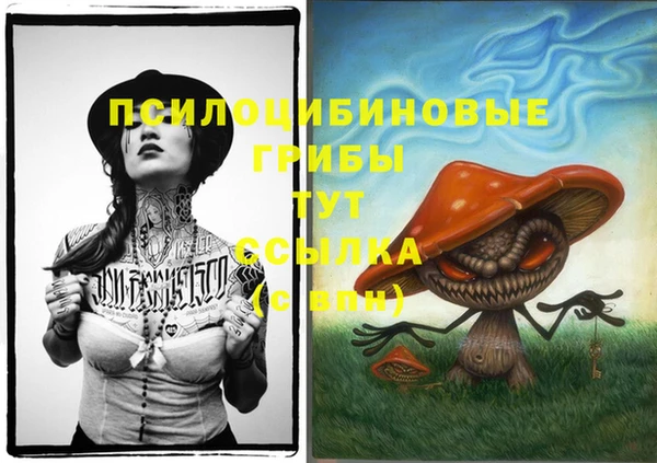 крисы Алексеевка