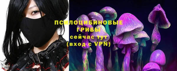 крисы Алексеевка