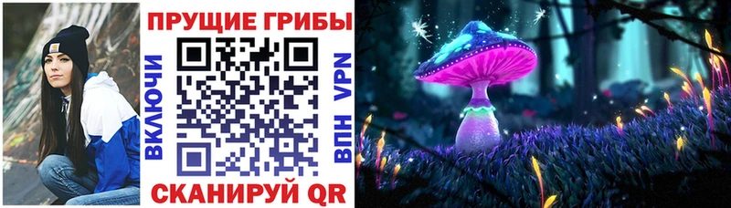blacksprut сайт  Черкесск  Псилоцибиновые грибы мухоморы 