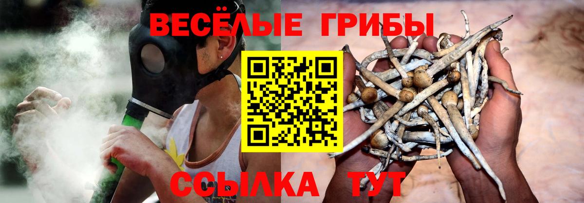 Псилоцибиновые грибы MAGIC MUSHROOMS  Вход с VPN  что такое наркотик  Черкесск 
